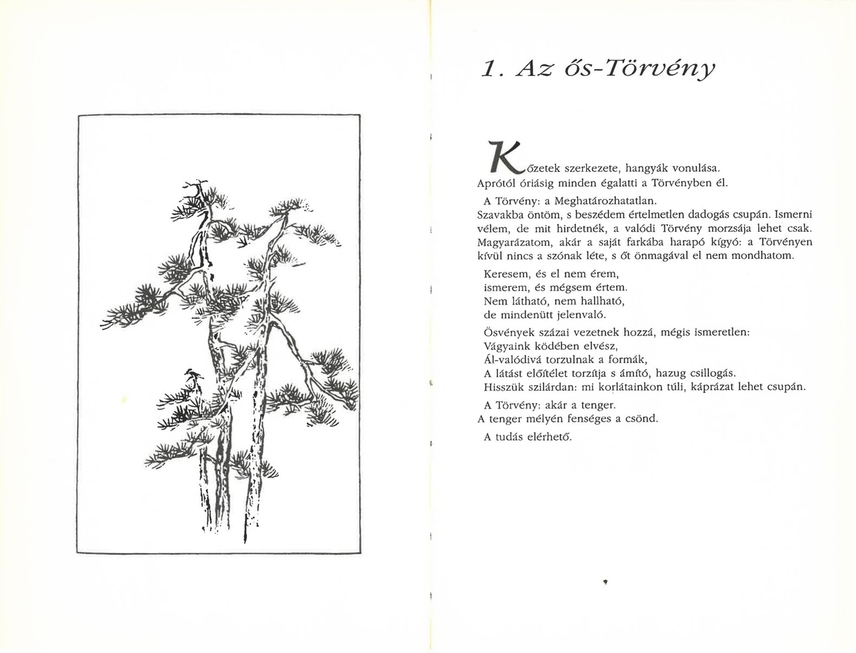 Tao, út a vezetéshez - Image 2