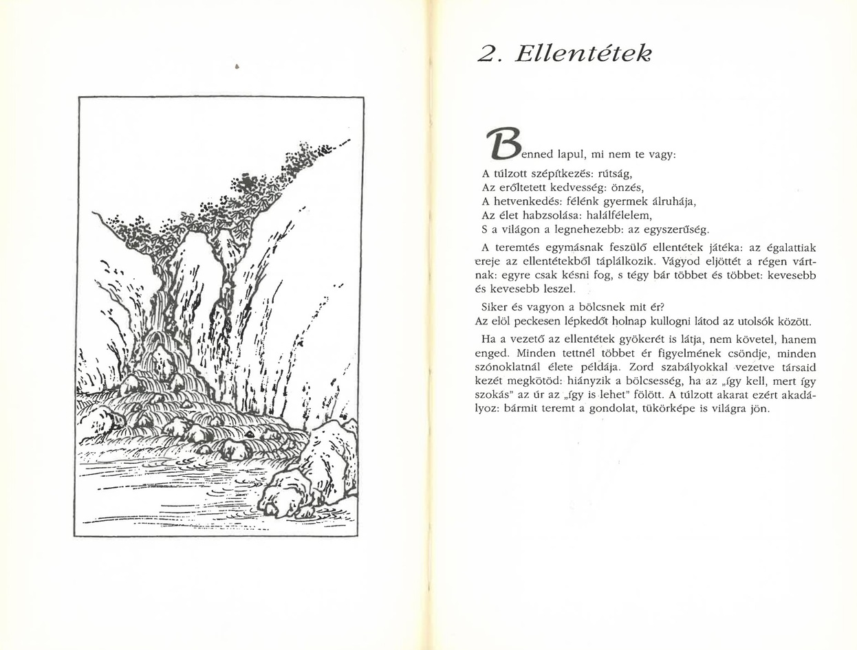 Tao, út a vezetéshez - Image 3