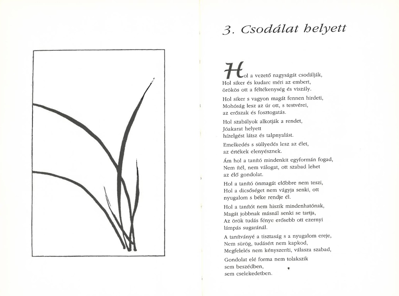 Tao, út a vezetéshez - Image 4